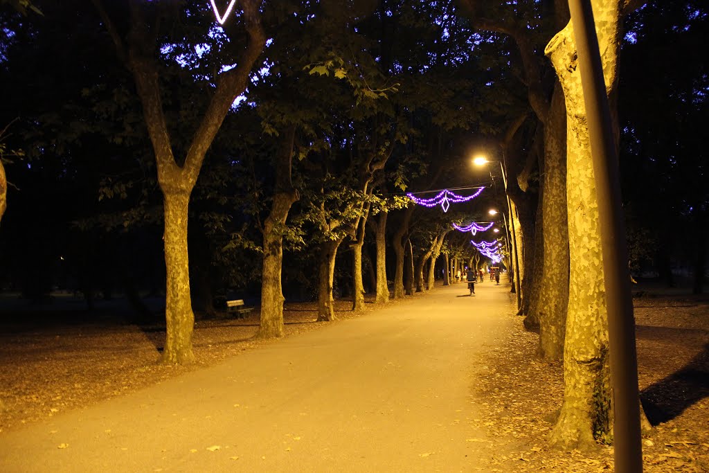 Viale Capponi at night by Sander de Jong