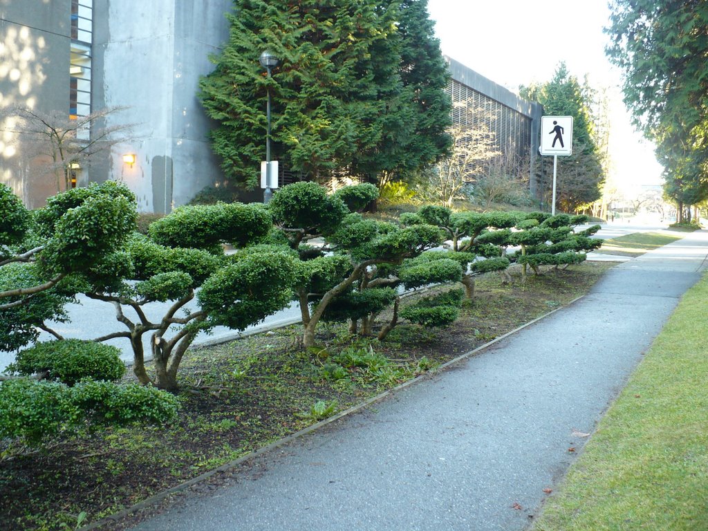 Path towards Nitobe by stevev