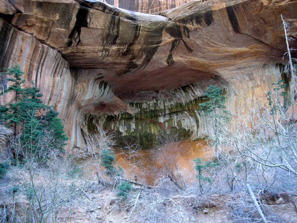 Double Arch Alcove-Zion N.P. by eliot_garvin