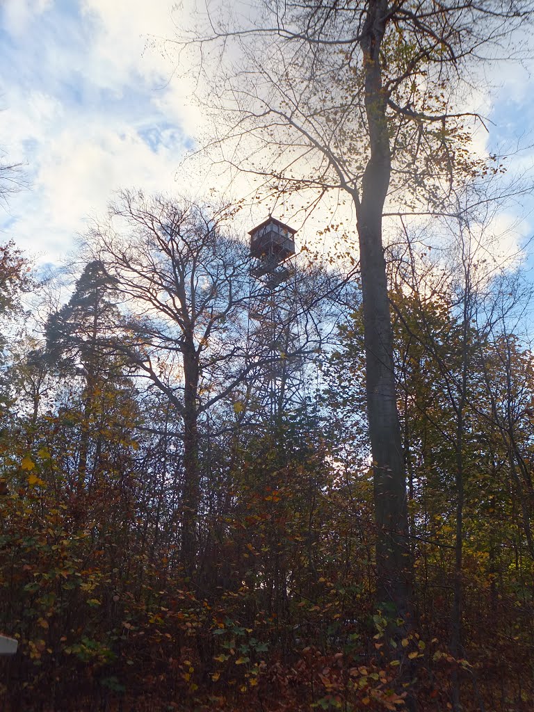 Feuerwachturm Puschwitz by Matthias H.