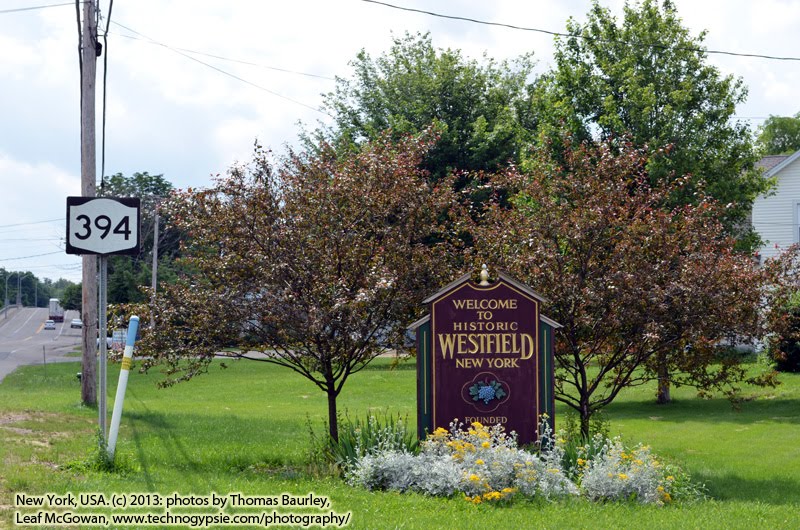 Westfield, New York by Technogypsie Productions