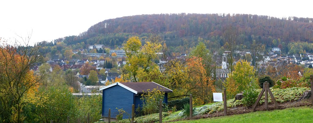 Blick zum Ziegenberg by anheitho