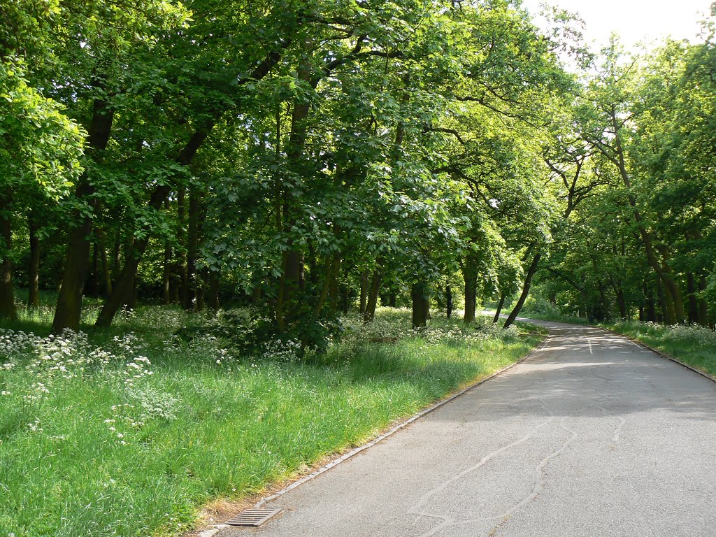 Grangewood Park, London by Mihalec Hedvig