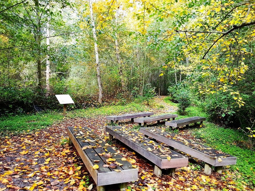 Redmond West Wetlands by Boathill {舟山}