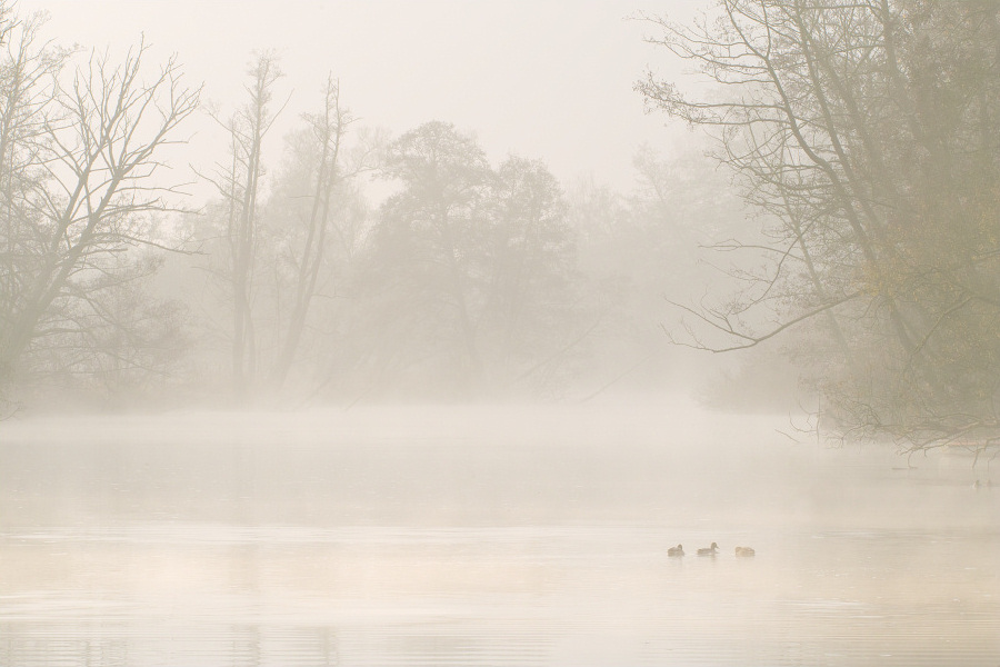 An der Lahn by FelixW