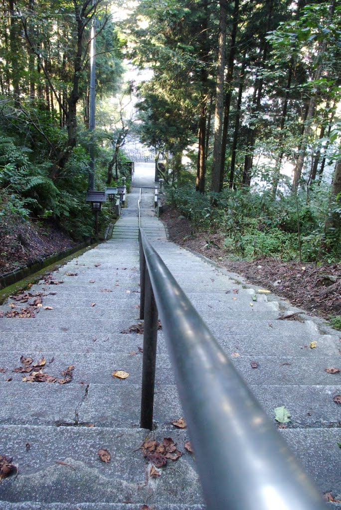 愛媛県 西条市 丹原町 福岡八幡宮 参道 上から by HUB.Tachibana