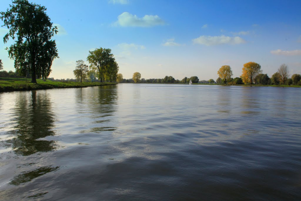 De Maas bij Megen gezien vanaf de pont. by watersnip