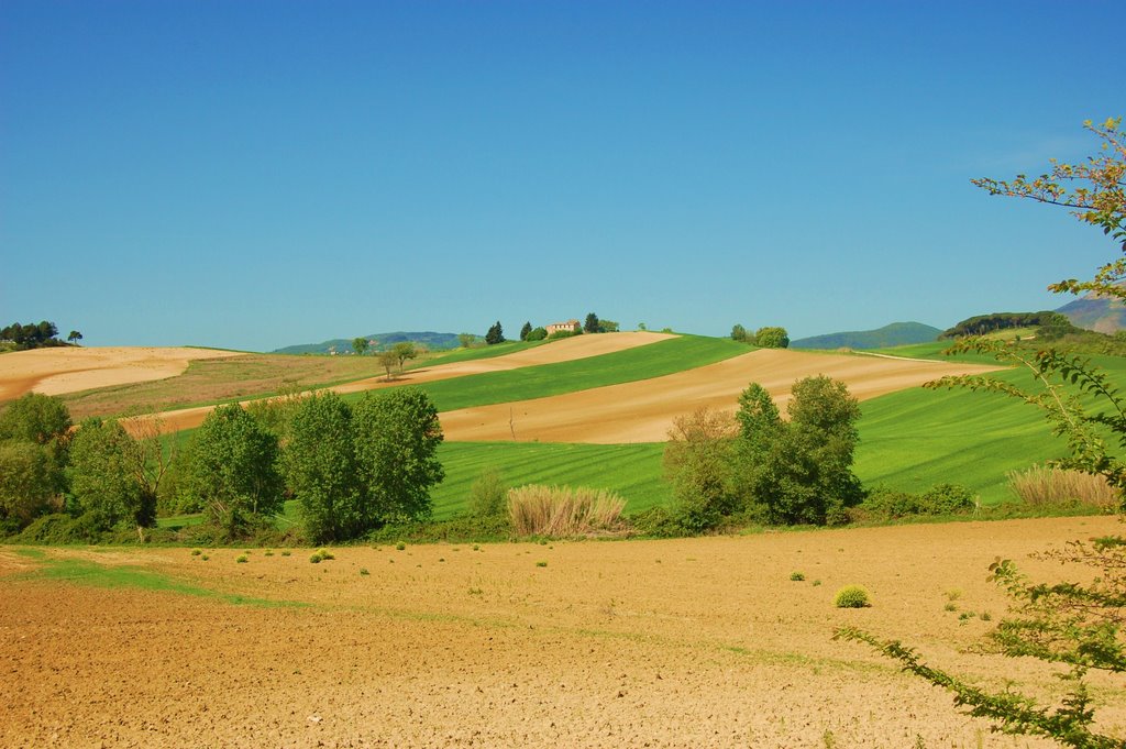 STESSO POSTO STESSA FOTO 3 MESI DOPO DEDICATA A MARCO VANZO by **DANILO AGNAIOLI**