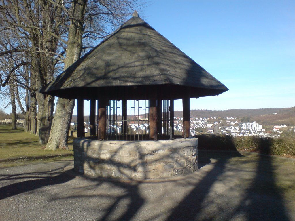 Brunnen auf der Ruine by peddak69