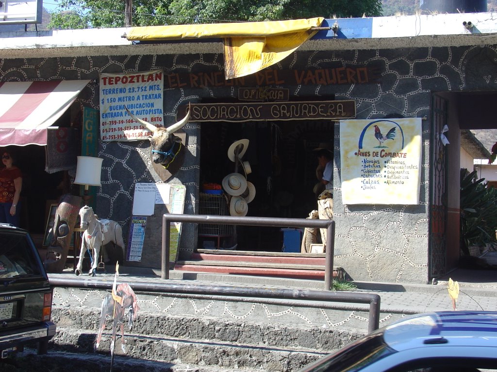 Mercaderías, Tepoztlán by Elías Zamora