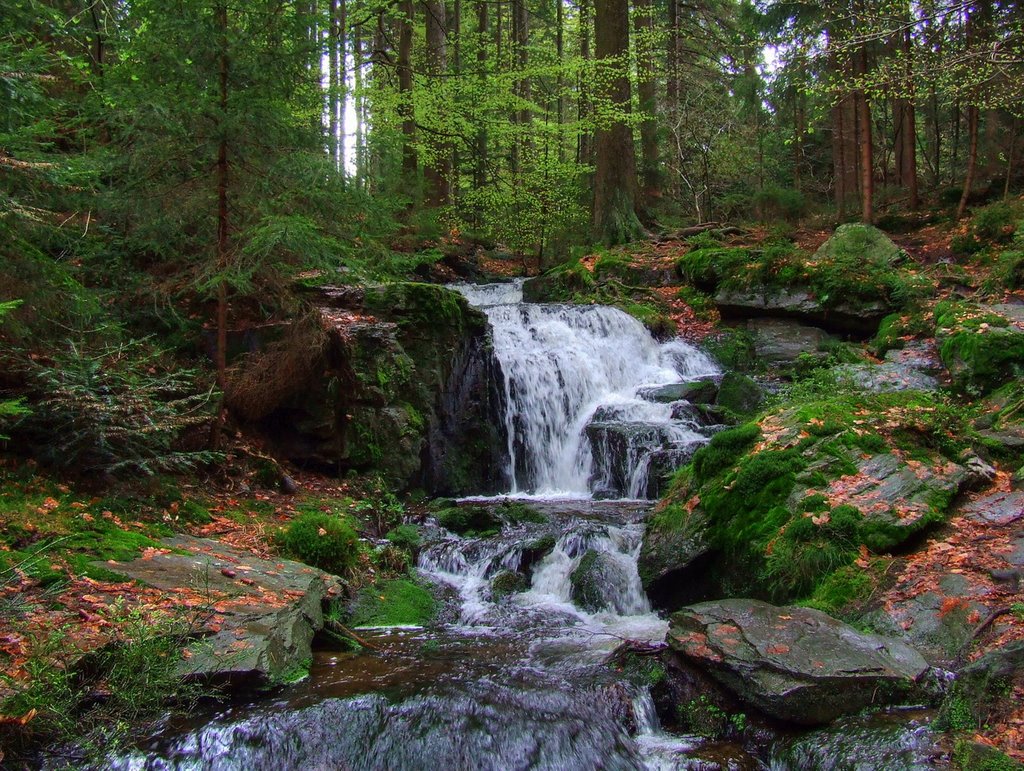 Wasserfall bei Altmugl by Dieter Beer