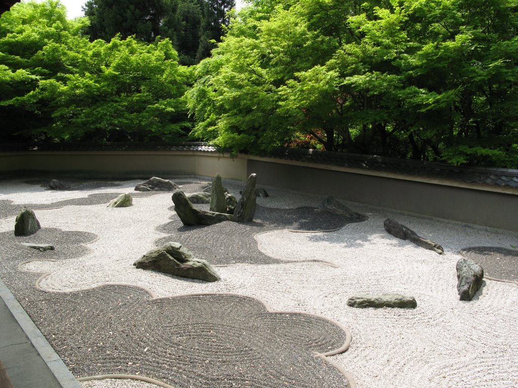 Dragon in Tofuku Temple by nobuhiko