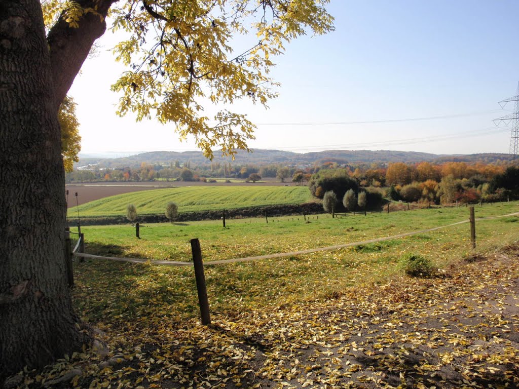 Blick von Do-Höchsten Richtung Holzen by Rolf.W.Dirkes