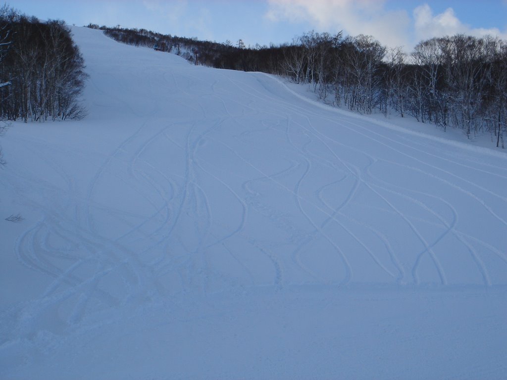 Powder trails at Niseko Weisshorn by massu