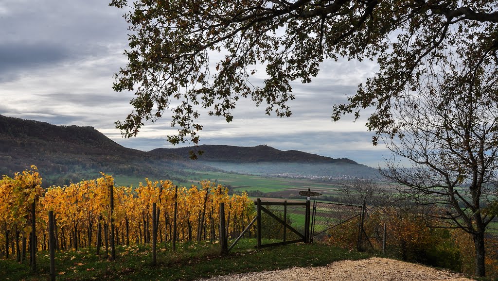 131025-371 Breitenstein, Teck und Wein-Einzellage Limburg by fotofax