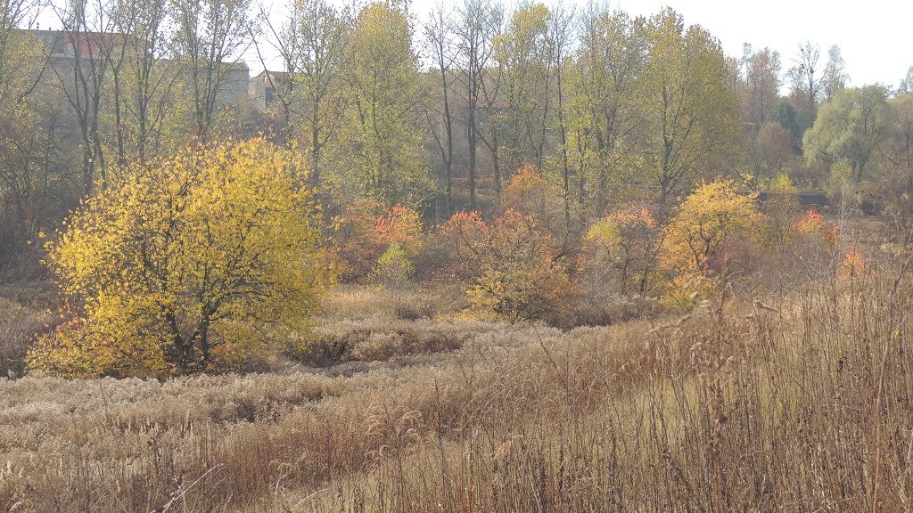 Październik by fot.Wierciński Józef