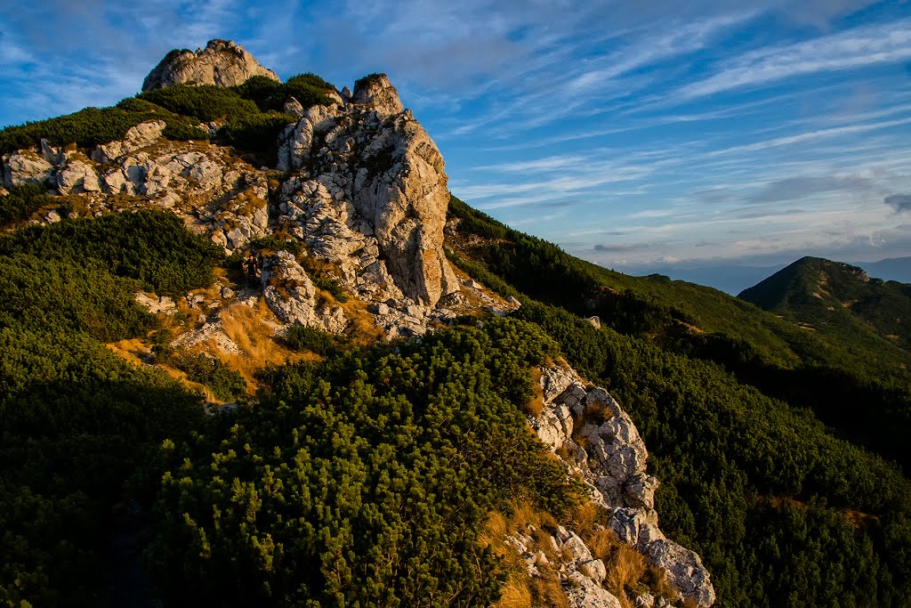 Siwy Wierch by tadeusz dziedzina©