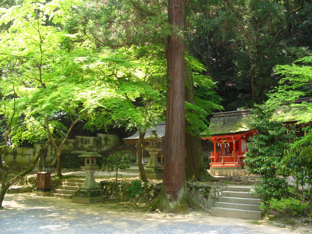 Matsunoo Shrine by Nobuhiko Yoshida (Ti…