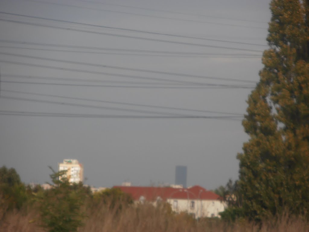 La tour Montparnasse vue depuis l'autoroute A6 à Wissous le 22/10/13. by Divio