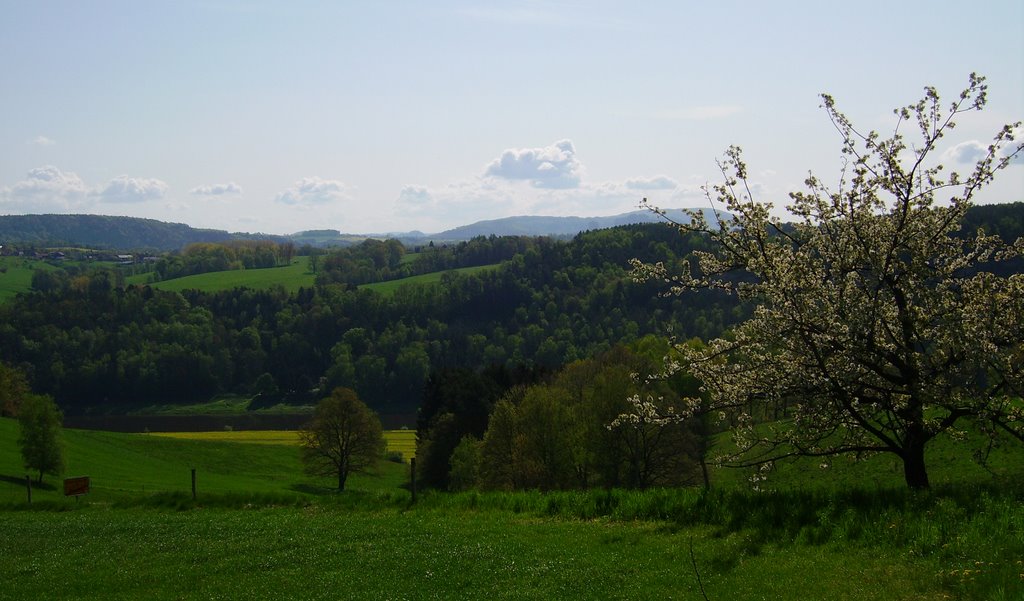 Sächsische Schweiz,Weißig/Deutschland by Staff Milo