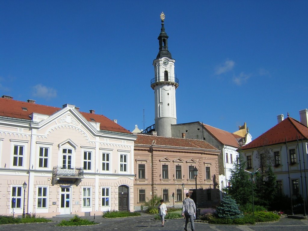 Veszprém, Hungary by Horváth, Csaba