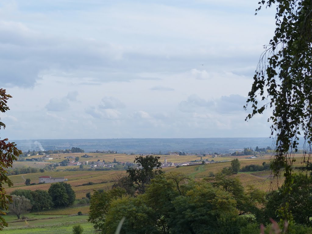 La Dombes et Cercié depuis F-69430 Régnié-Durette by C.Bréant