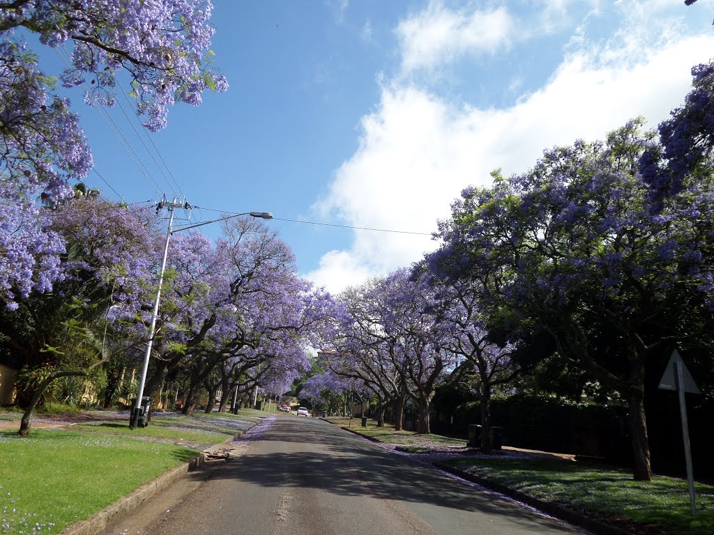 Eastwood, Pretoria by paul saad