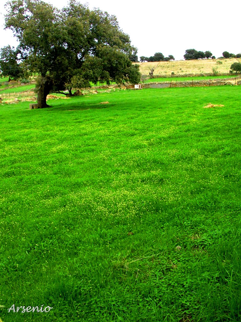 Los Ibores-Bohonal de Ibor by Mambrino