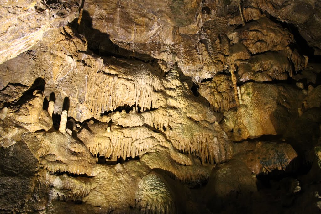 Grottes de Hotton, Belgium, 08-09-2013 by pjrinkel