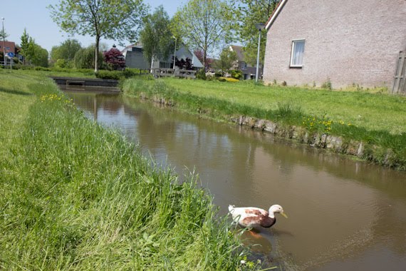 The Beemster Polder, The Netherlands by michaelturtle