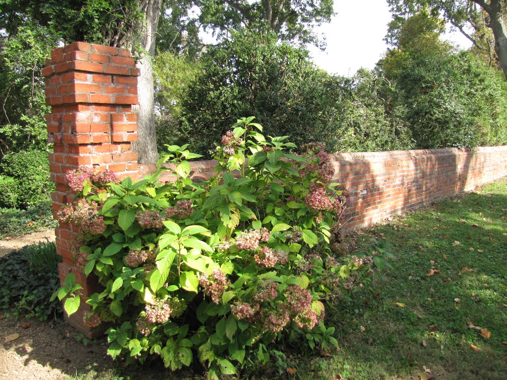 Westover Plantation Gardens by Chris Sanfino