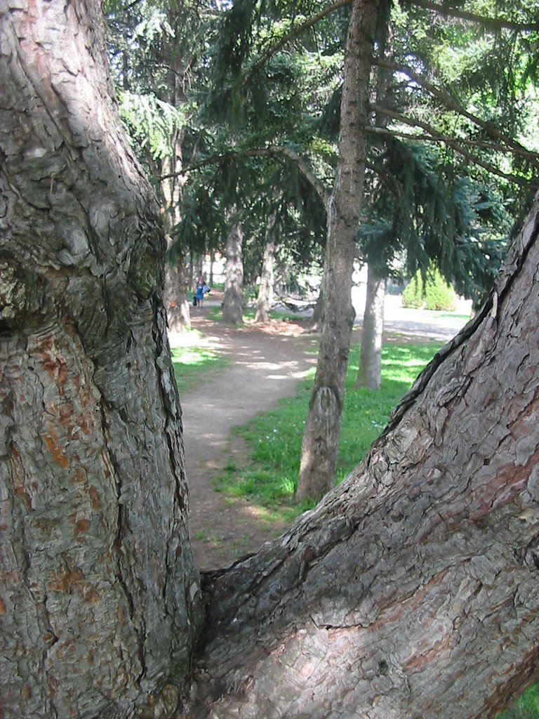 Parc bazin by fred banchet