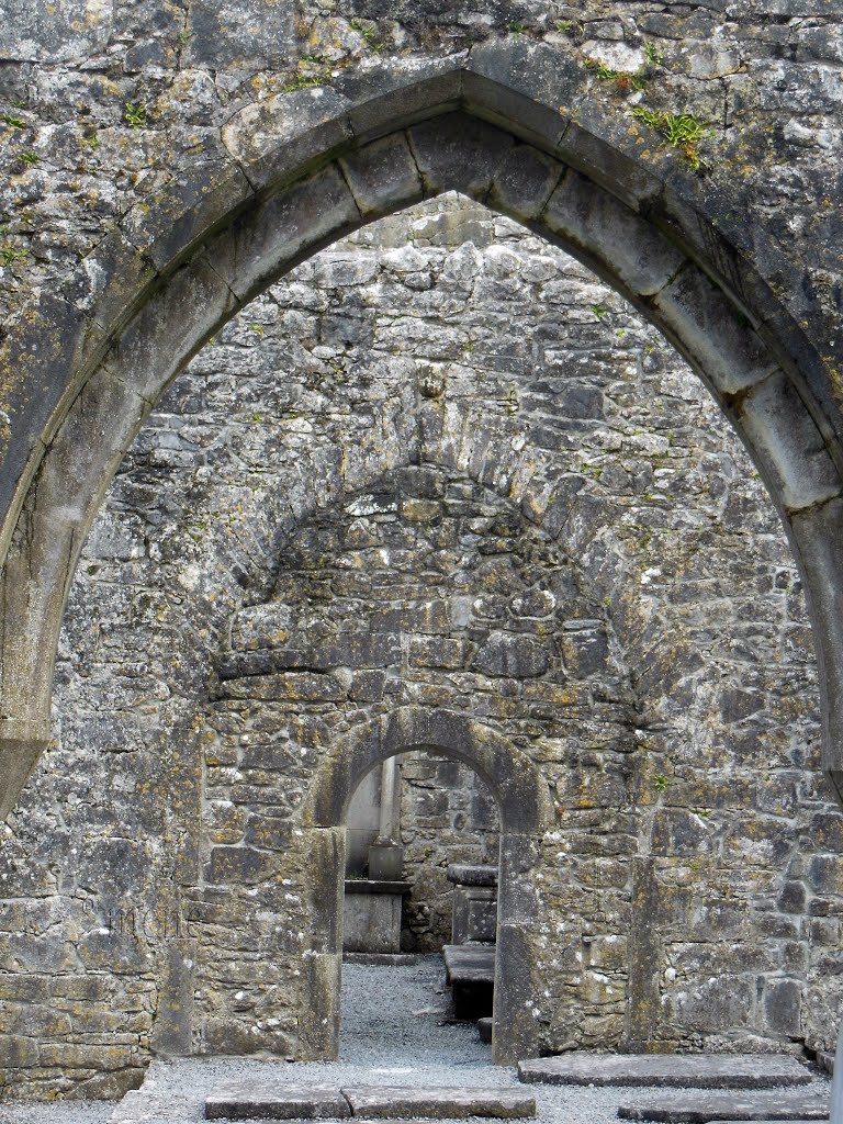 Ireland. Kilmacduagh monastry site. The irish grey scale. by ®mene