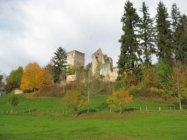 Burgruine Sulzberg by hubi1802