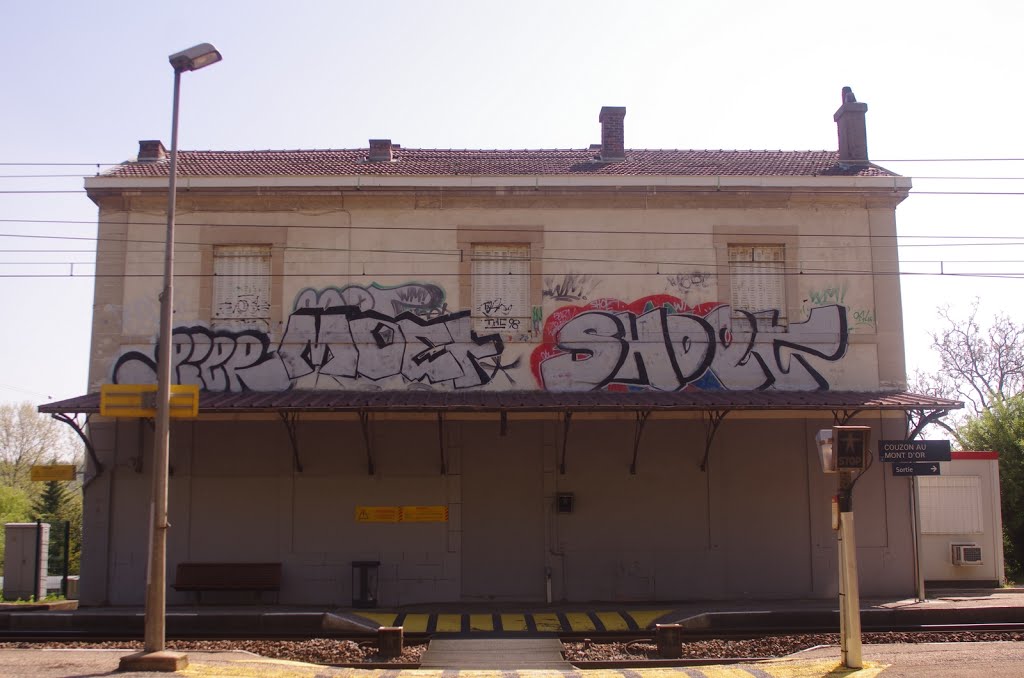 Gare de couzon au mont d'or by fredobard