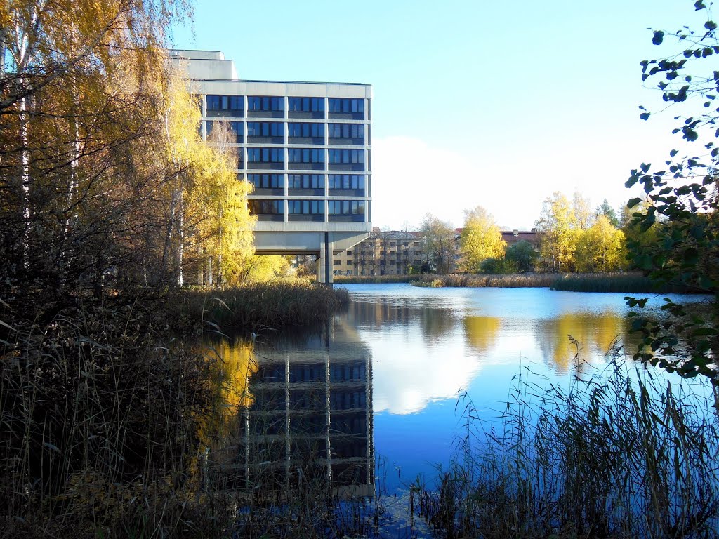 Munkinpuisto pond reflections in October by Petteri Kantokari