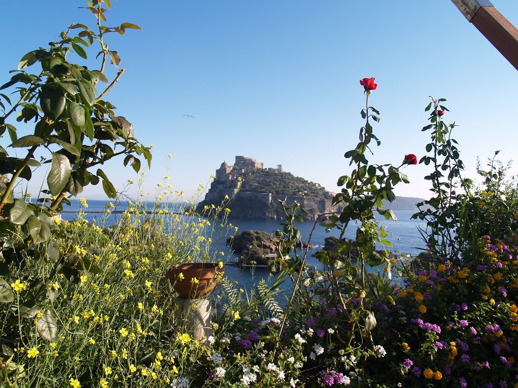 ISCHIA (NA) - Castello Aragonese by Melfi Maria Maddalena