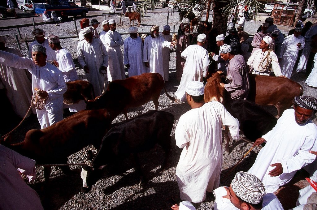 Goat Market ( Souq ) in Nizwah, Oman. by Marcin Klocek (trave…