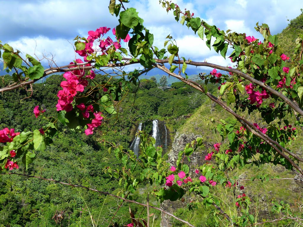 Falling For Kauai (Again) by stett3