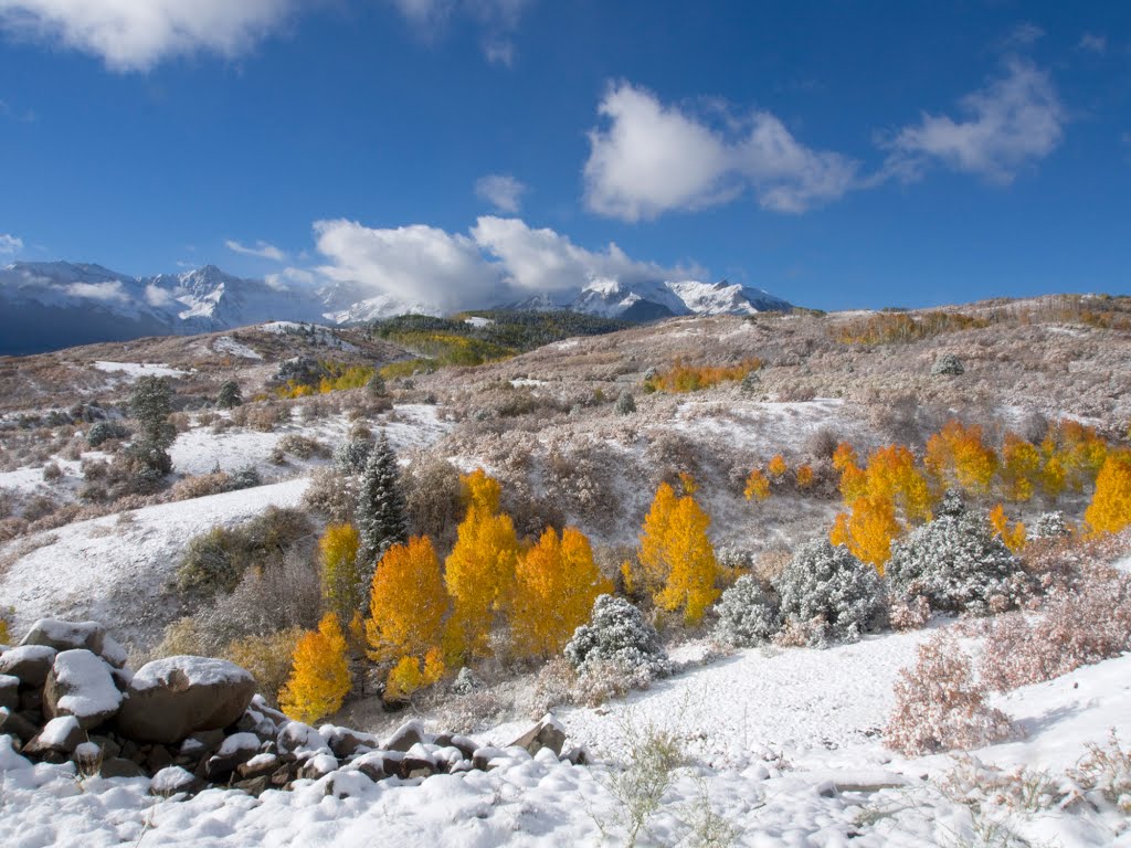 Dallas Divide early snow by Tom C.