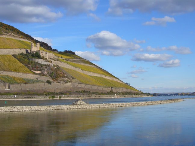 Burg Ehrenfels am Rhein by Stefan Jung