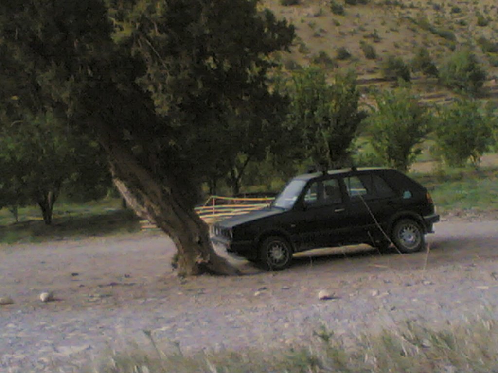 Rasfa, Algeria by Rachid KADRI