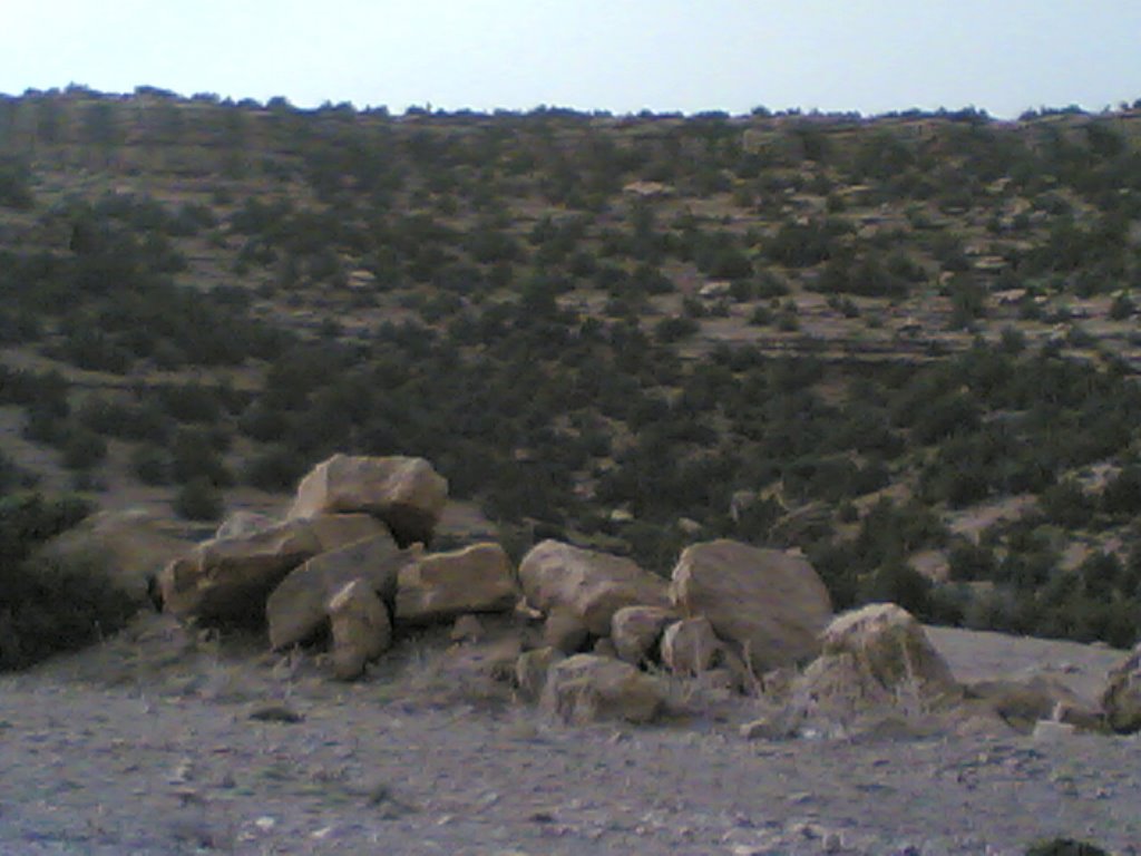 Rasfa, Algeria by Rachid KADRI