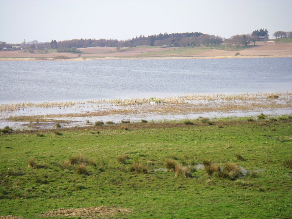 View from bird watch tower in Louns by Mickey Luigi Løgitmark