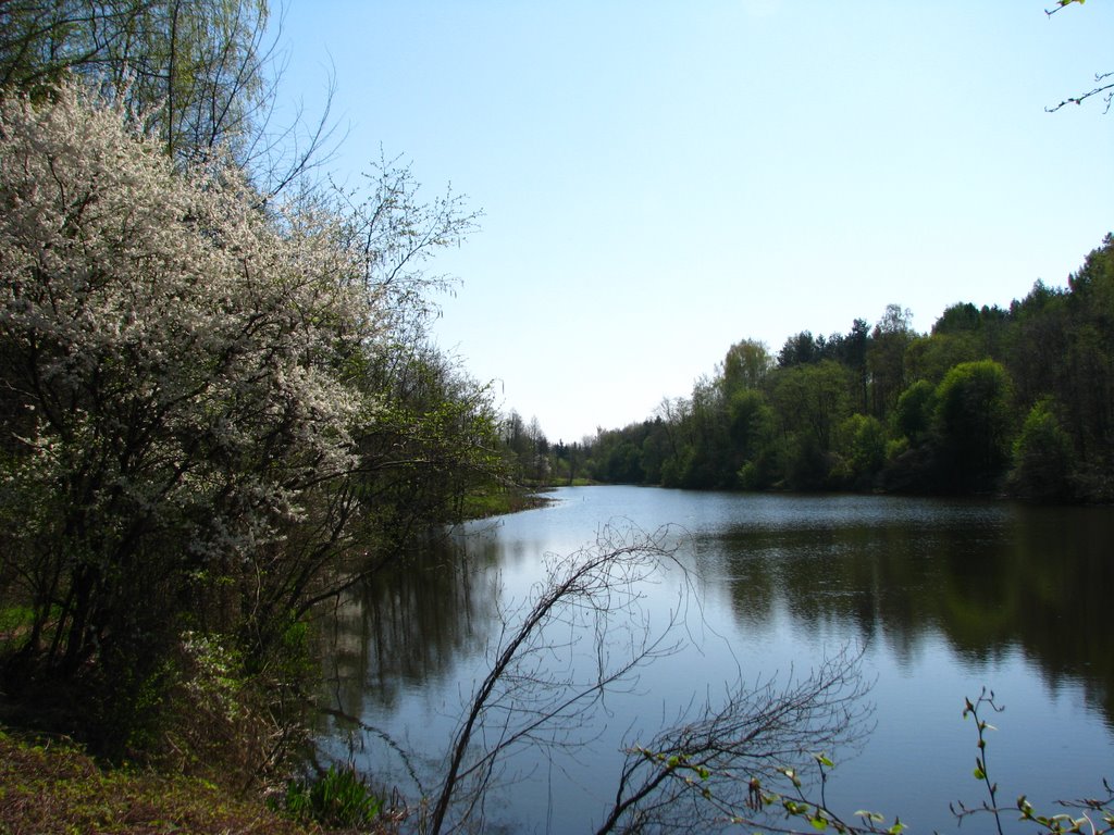 Small lake at Laumenai, Kauno mariu regional park by Alfas.Pliura