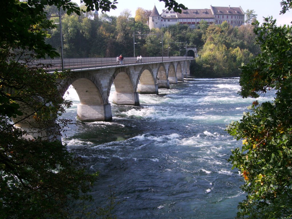 Eisenbahnbrücke am Rheinfall mit Blick auf Schloss Lauffen by chofide