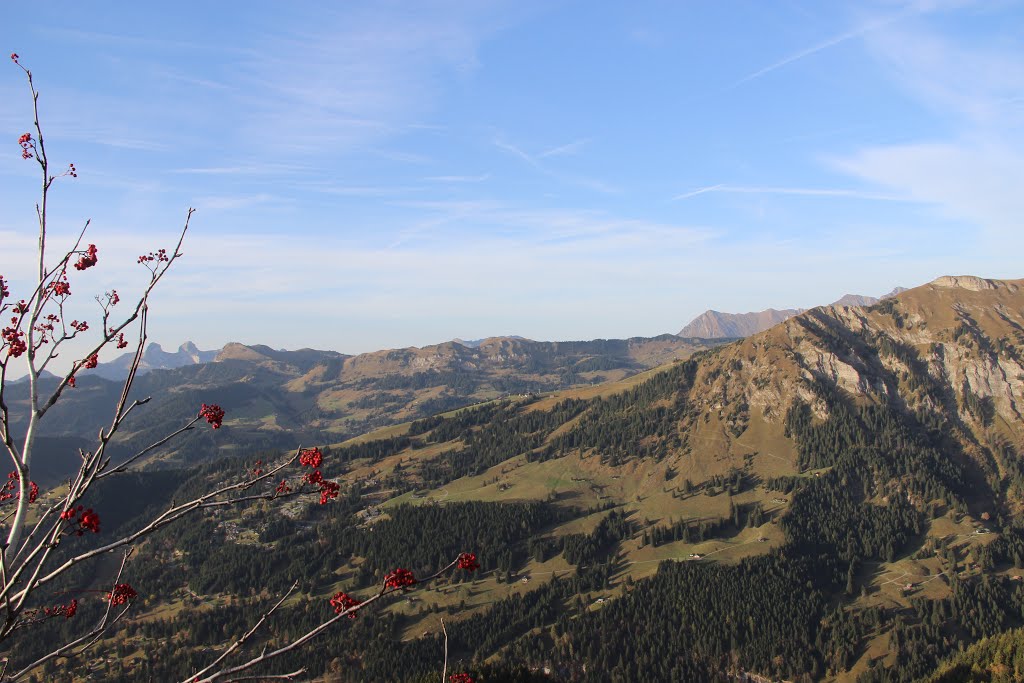 View on Les Diablerets by 6004592