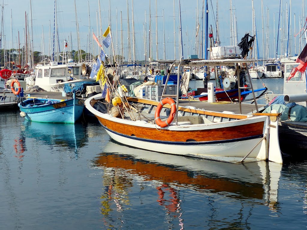 France, sur l'île de Porquerolles avec quelques pointues au port by Roger-11