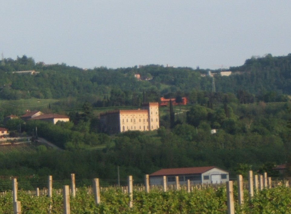 Sarego - Castello Boroni visto da via palladio monticello di fara by mklety73