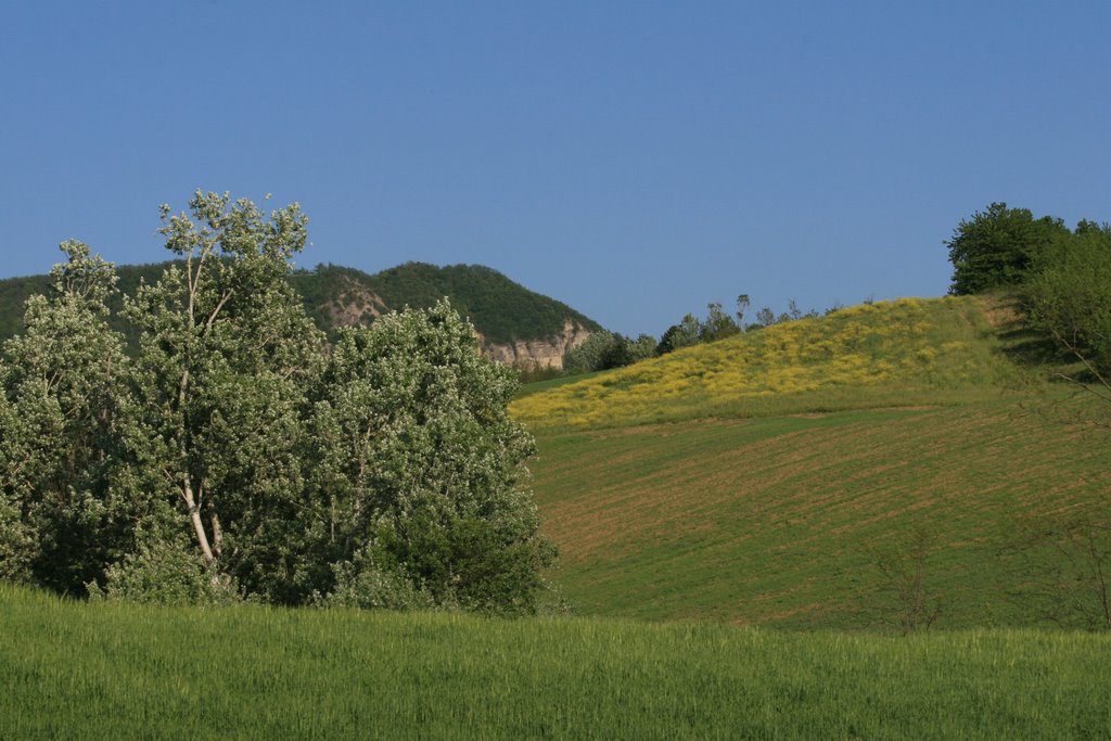 Brignano Frascata - Le colline dalla cascinetta !! by Massimo Crocco